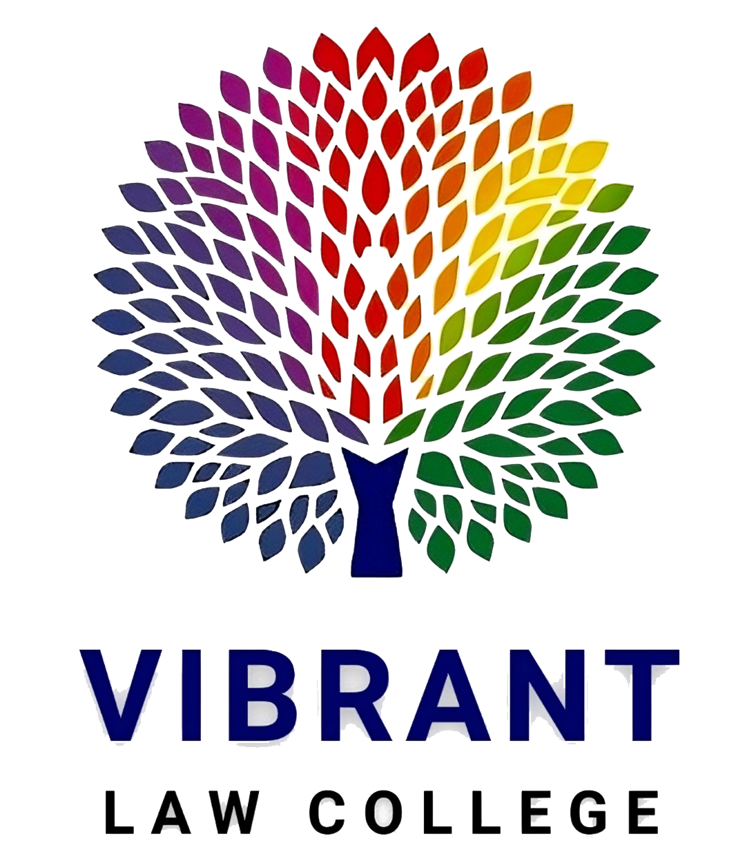 Vibrant Law College Logo
